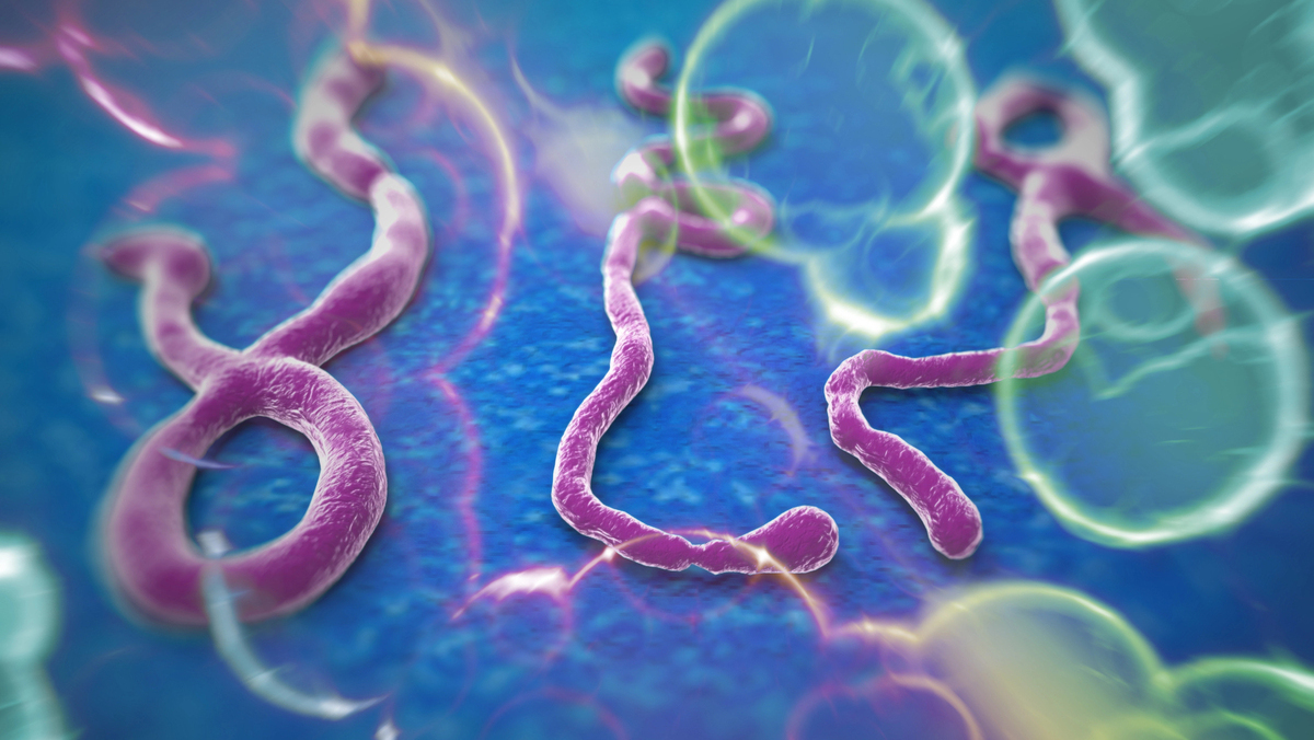 vírus do Ebola