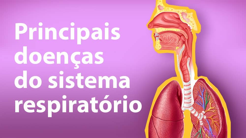 Principais doenças respiratórias Infográfico Drauzio Varella Drauzio Varella Principais doenças respiratórias Infográfico Drauzio Varella Drauzio Varella