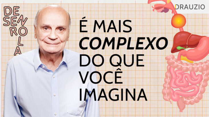 Como funciona o processo digestivo? - Portal Drauzio Varella