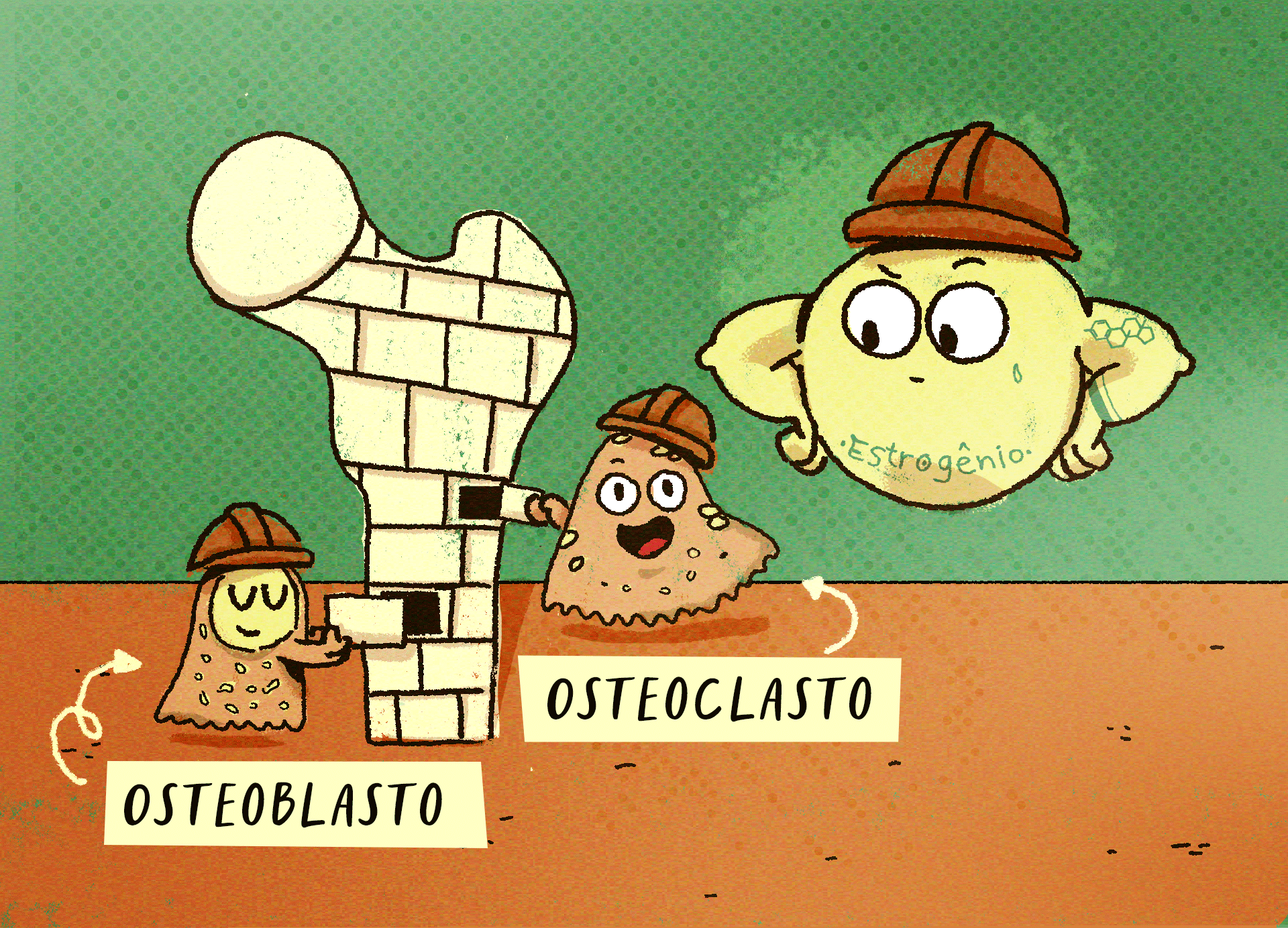 Exames ajudam a manter a saúde do coração e dos ossos sob controle, mesmo depois das quedas hormonais causadas pela menopausa. Veja quais são eles