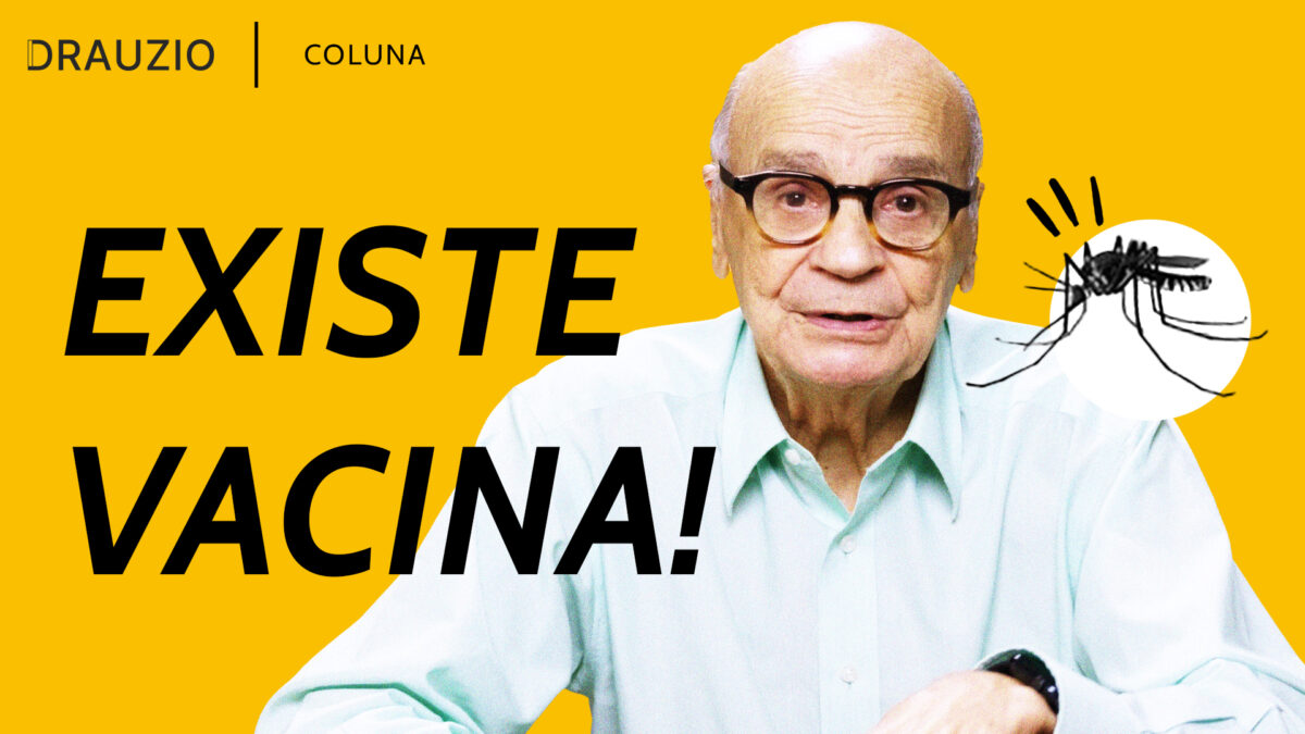 A febre amarela é mais comum no verão, por isso os cuidados devem ser redobrados. Saiba mais