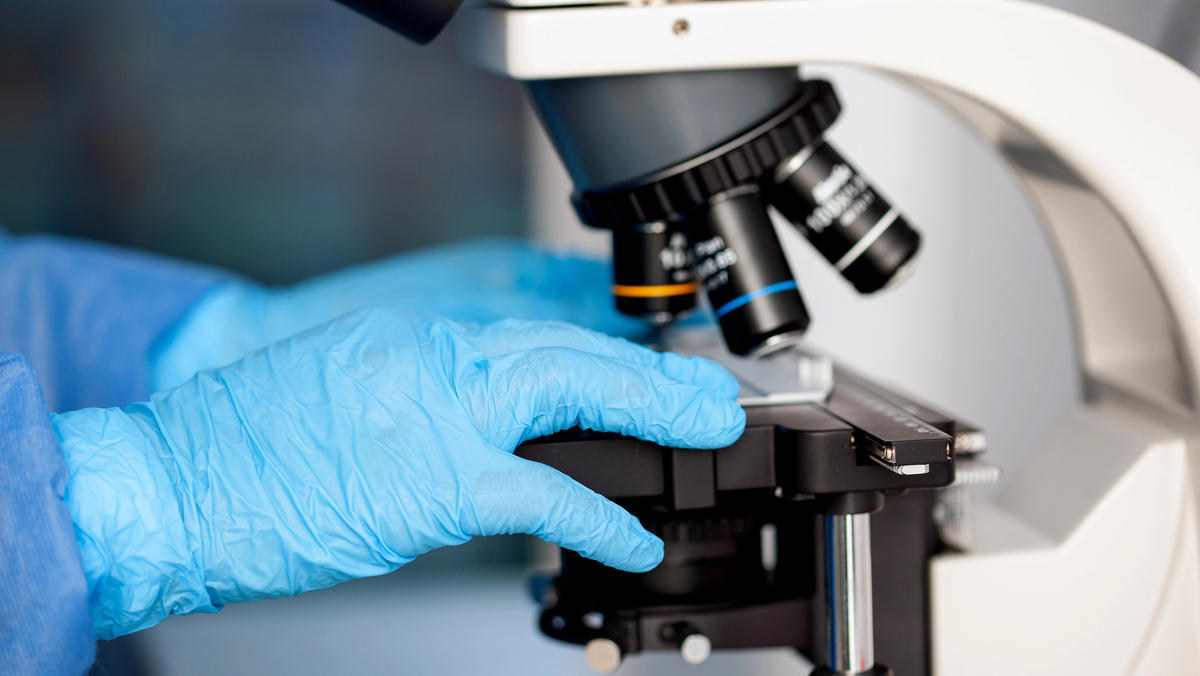 mão de pesquisador com luva colocando lâmina no microscópio