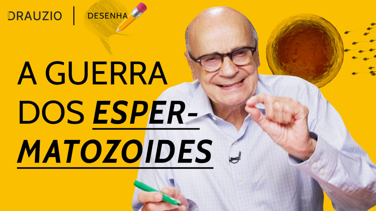 Entenda o caminho do espermatozoide até a fecundação do óvulo