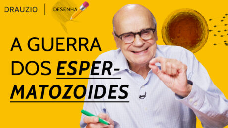 Entenda o caminho do espermatozoide até a fecundação do óvulo