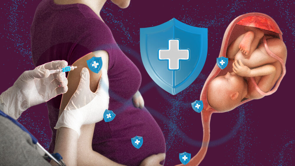 A primeira defesa do bebê começa na barriga da mãe. Entenda como a vacinação materna diminuiu os casos de doenças neonatais no Brasil