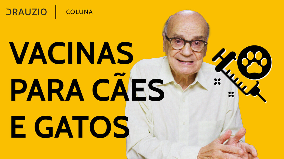 A vacinação dos pets também é importante para a sua saúde